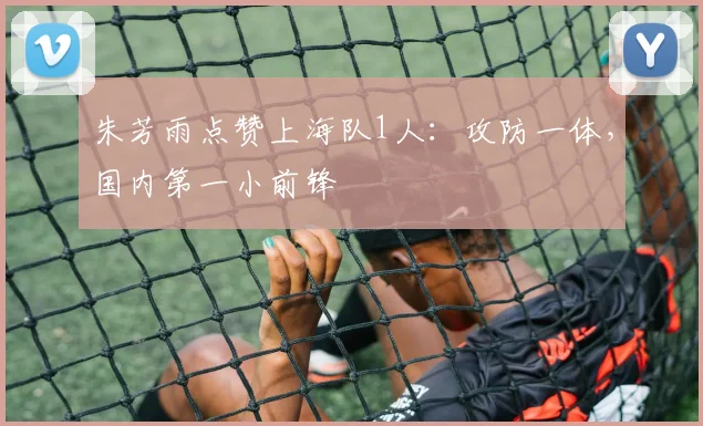 朱芳雨点赞上海队1人：攻防一体，国内第一小前锋