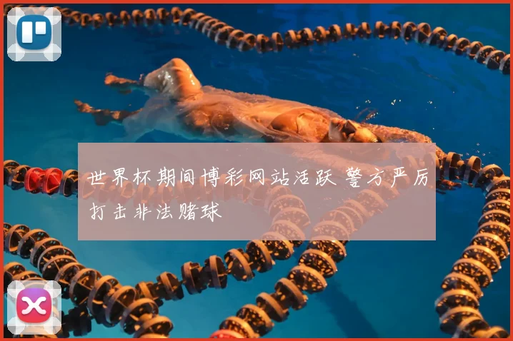 世界杯期间博彩网站活跃 警方严厉打击非法赌球