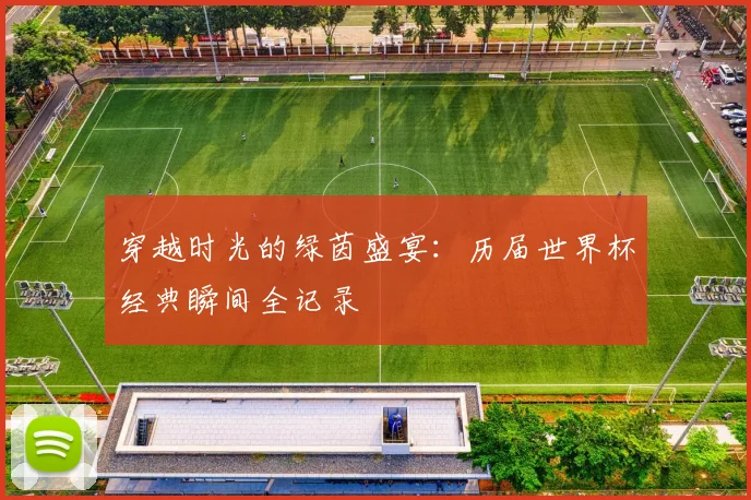 穿越时光的绿茵盛宴:历届世界杯经典瞬间全记录