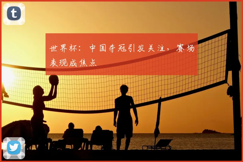 世界杯：中国夺冠引发关注，赛场表现成焦点