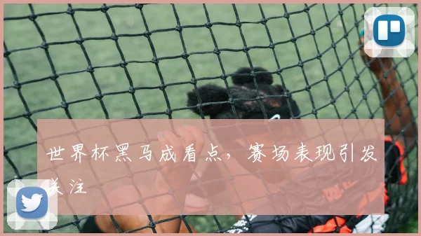 世界杯黑马成看点，赛场表现引发关注