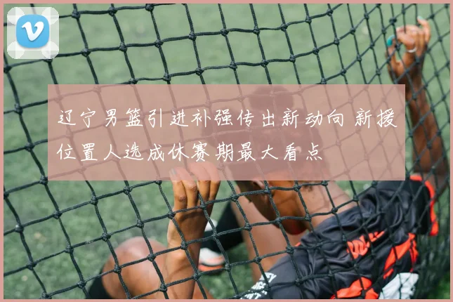 辽宁男篮引进补强传出新动向 新援位置人选成休赛期最大看点