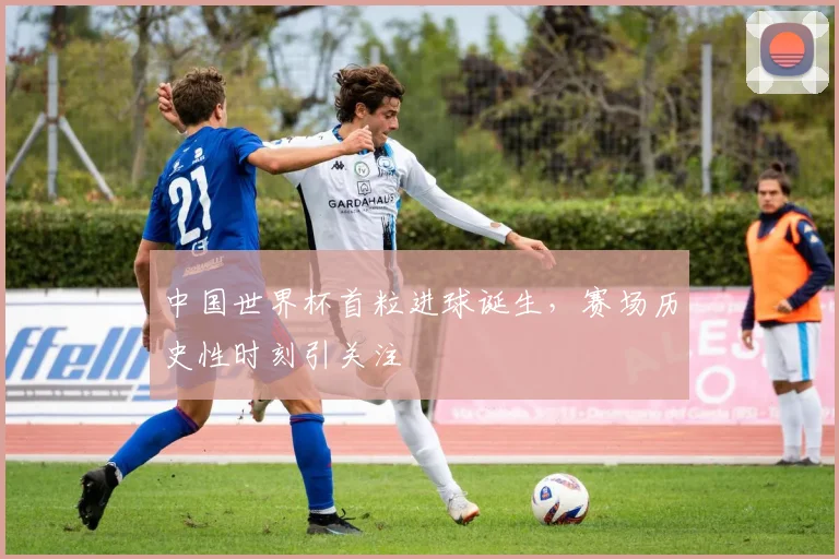 中国世界杯首粒进球诞生,赛场历史性时刻引关注