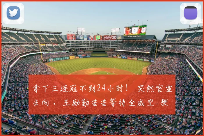 拿下三连冠不到24小时! 突然官宣去向 ,王励勤苦苦等待全成空_樊振东_赛季_国乒