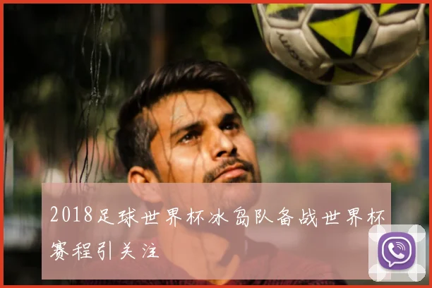 2018足球世界杯冰岛队备战世界杯赛程引关注